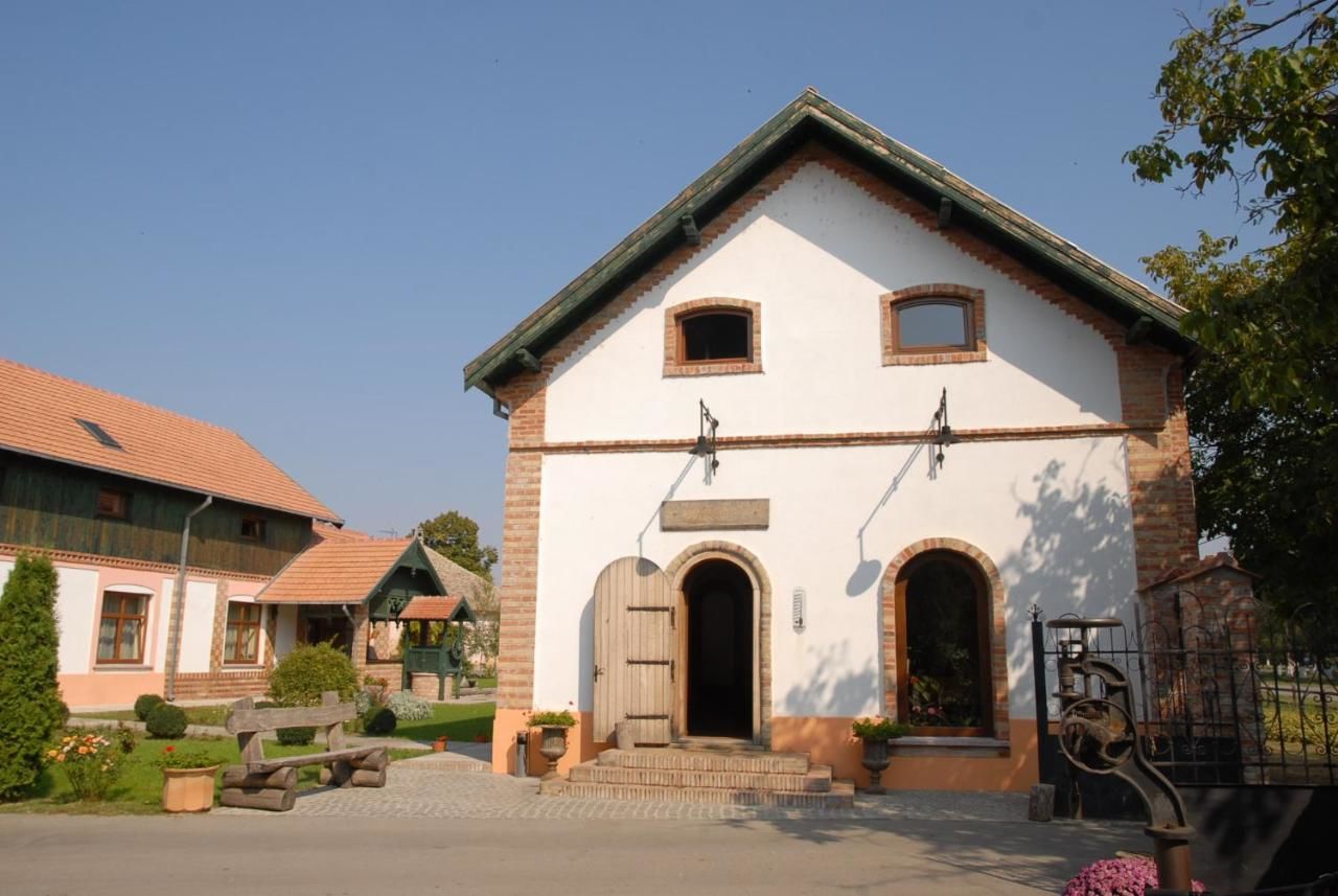 Гостевой дом Schwabenhaus Şandra-11