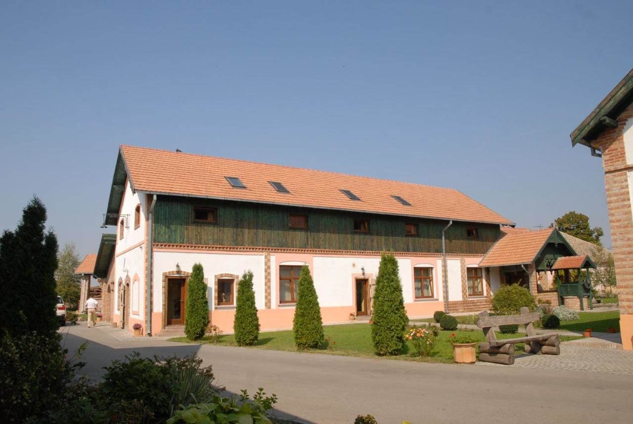 Гостевой дом Schwabenhaus Şandra-12